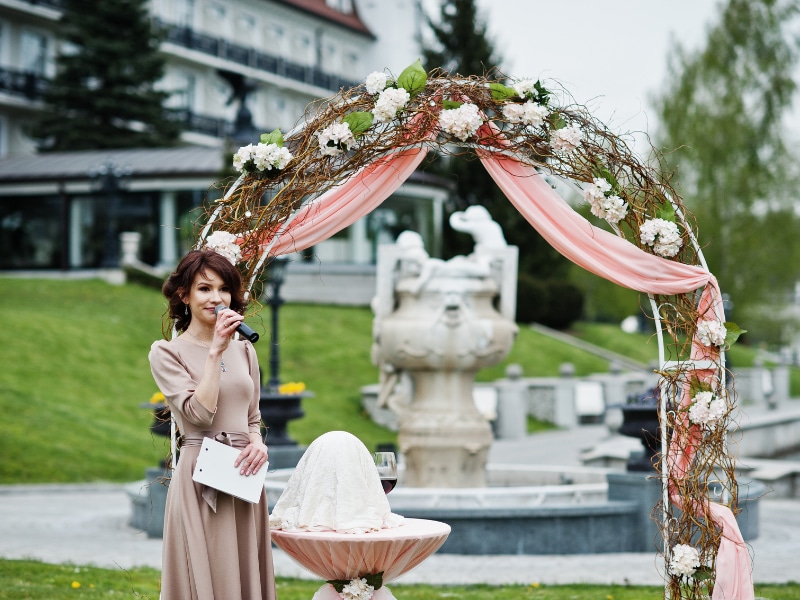 Illustration of an MC engaging with guests at a wedding.